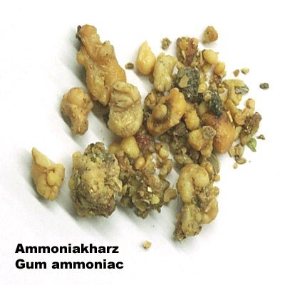 27302 GUM AMMONIAC, 100 GR.