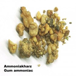 27302 GUM AMMONIAC, 100 GR.