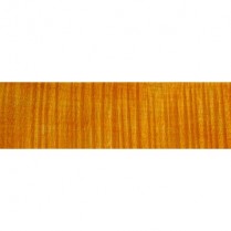  AMBER SPIRIT VARNISH