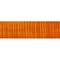  GOLDEN YELLOW SPIRIT VARNISH