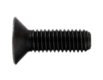 BGM-S0250200070 S025-020-0070 7991-10.9 20X70 SOCKET FLAT HEAD SCREW