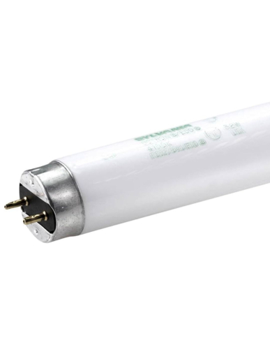 LI1-22438 SYLVANIA FLUORESCENT LAMP 32 W, T8, 4100 KM 48" LONG 30/CASE