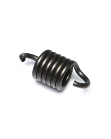 MA1-181184020 SPRING