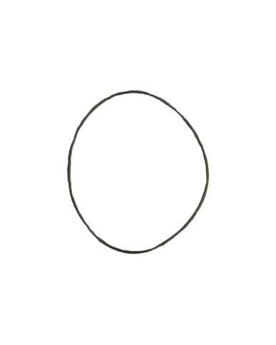 MA1-2138556 #213855-6 O-RING