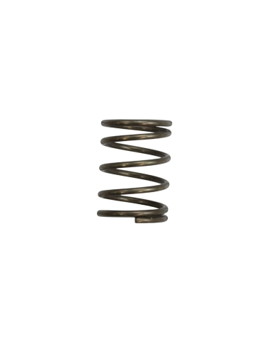 MA1-2312817 #231281-7 SPRING