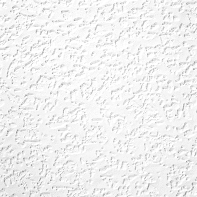 PB1-86515001 86515001 2-ft x 4-ft x 5/8-in White Ceiling Tile Panels