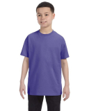 SAH-5000B/PURPLE/XL 5000B GILDAN YOUTH COTTON TEE PURPLE XL