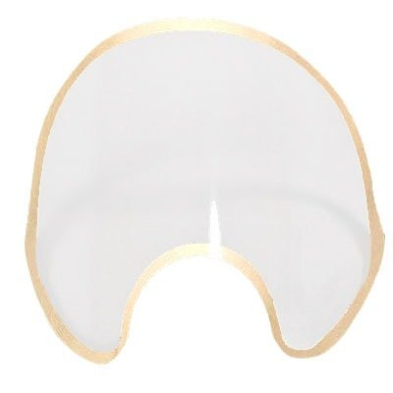 SAP-FF40017 FF-400-17 SEMI-PERMANENT LENS PROTECTOR 20/CASE
