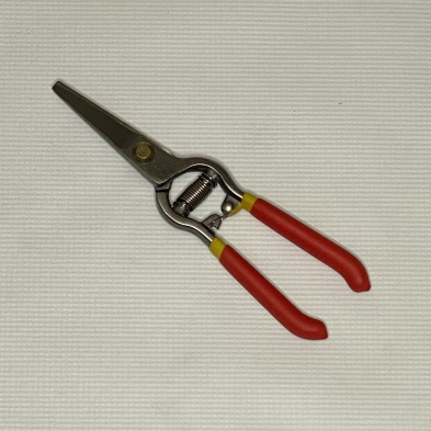 SR-GS21 GRAPE SHEAR STRAIGHT