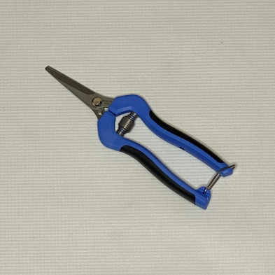 SR-GS750S FRUIT/GRAPE SHEAR 7.5" W/BLUE POLY HNDL STRT