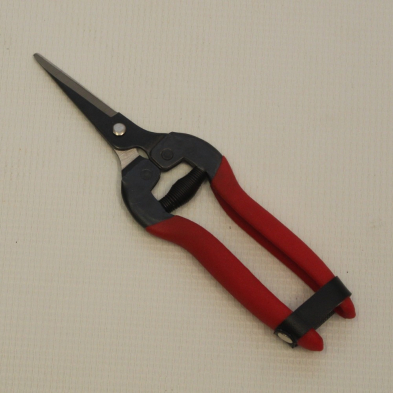 SR-GS803 GRAPE SHEAR STRAIGHT/THIN BLK BODY