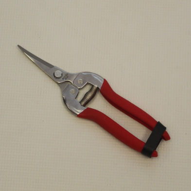 SR-GS803ASCR CHROME GRAPE SHEAR STAINLESS CURV/THIN