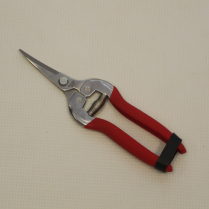 SR-GS803ASCR CHROME GRAPE SHEAR STAINLESS CURV/THIN