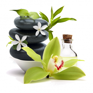 Scentsia Spa Renewal Fragrance Cartridge