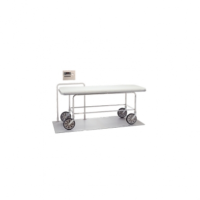 EM-9154-XXEB 6154 Flush-Mounted In-Floor Scale with standard weight (lb/k