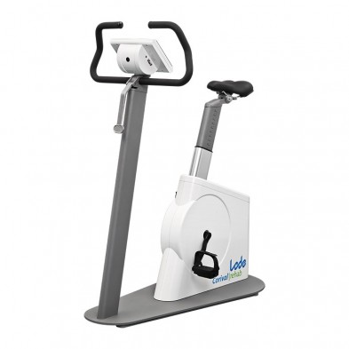 EM-9210-0006 Lode Corival - Rehab