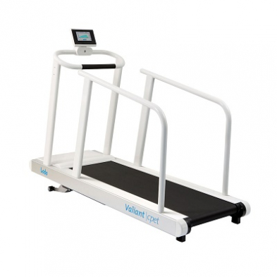EM-9293-8905 Lode Valiant 2 CPET XL Treadmill