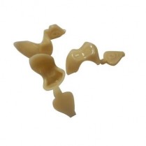 Direct Crown Refill Lower Bicuspid Ac-9 Small (8)