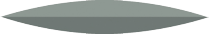 Axis Nti P0322-220 Polisher Gray Unmounted (10)