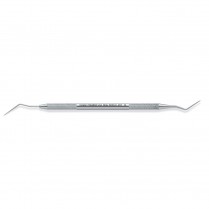 Premier Real World Endo Explorer Anterior