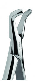 Premier #151A Extracting Forcep