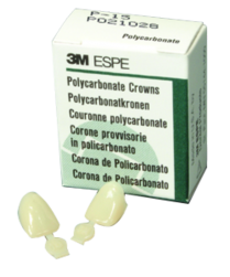 3M Polycarbonate Crown Cuspid  #302(5)