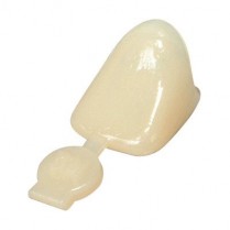 3M Polycarbonate Crown 1st Bicuspid #40 (5)