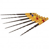 Hyflex CM Rotary Files 25mm Assorted (6)