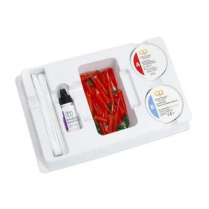 Core Paste Enamel  W/Fluoride Reg Kit 50G