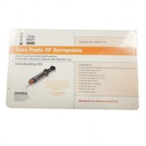 Core Paste XP Automix Syringe Intro Kit