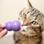 KONG CAT Kitty Kong Toy