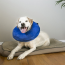 KONG Cloud Collar X-Large
