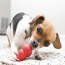 KONG Classic Dog Toy Kong Extra Small