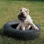 KONG Tires Dog Toy (Black) Small