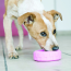 KONG Puppy Tires Toy Small