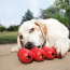 KONG Goodie Ribbon Dog Toy Medium