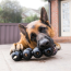 KONG Extreme Goodie Ribbon Dog Toy Large