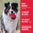 KONG Classic Dog Toy Donut Large/X-Large