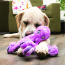 KONG SoftSeas Octopus Plush Dog Toy Small