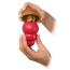 KONG Marathon Peanut Butter 2pk Dog Treat Medium