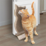 KONG CAT Connects Kitty Comber Toy