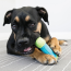 KONG CoreStrength Bone Dog Toy Medium/Large