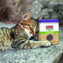 KONG CAT Premium Catnip 2oz (24)