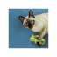 KONG CAT Refillables Catnip Toy Chameleon