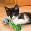 KONG CAT Flingaroo Caterpillar Toy