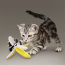 KONG CAT Better Buzz Banana Catnip Toy