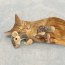 KONG CAT Luvs Mouse Toy
