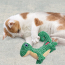 KONG CAT Luvs Lizard Toy