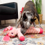 KONG Shakers Crumples Bunny Dog Toy X-Large