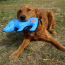 KONG Ballistic Rhino Dog Toy Medium/Large